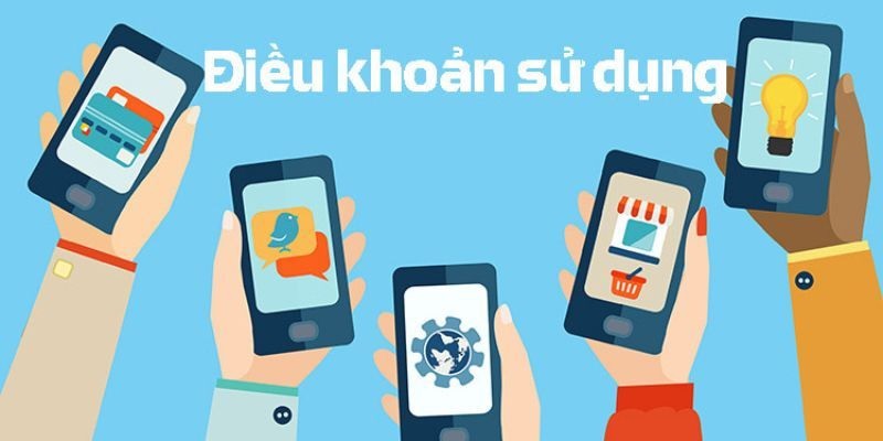 Lưu ý quan trọng cho tân binh về điều khoản điều kiện